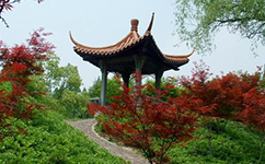 歷史沿革(概)校史