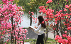 南京工業(yè)職業(yè)技術大學 - 我的大學