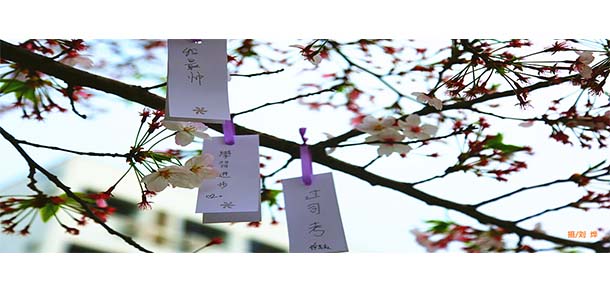 南京警察學(xué)院 - 最美院校