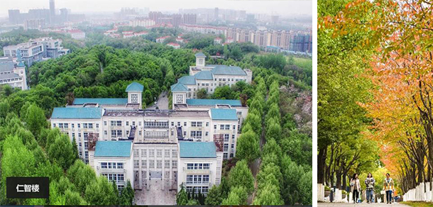 我的大學(xué)-大學(xué)志