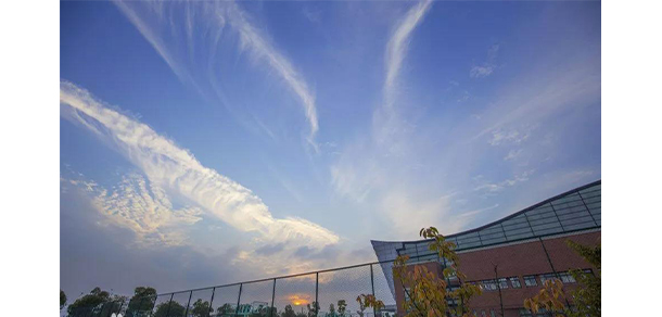 我的大學-大學志
