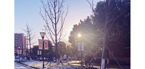 我的大學-大學志