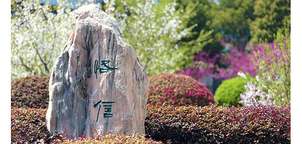 我的大學-大學志