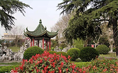 歷史沿革(概)校史