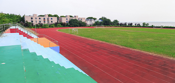 我的大學(xué)-大學(xué)志