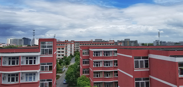 我的大學(xué)-大學(xué)志