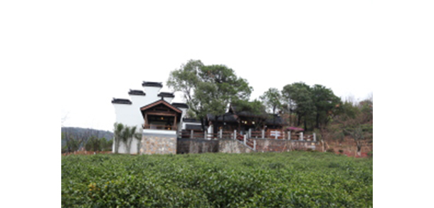 我的大學-大學志