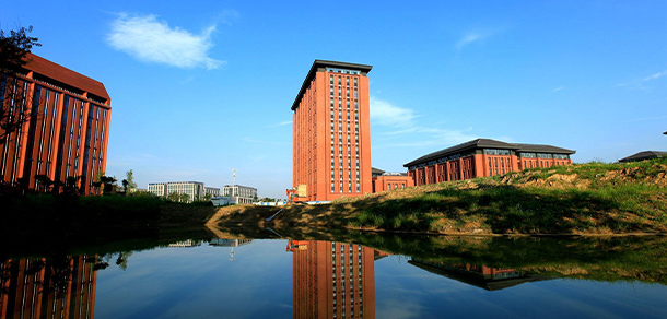 我的大學(xué)-大學(xué)志