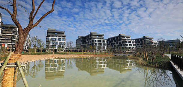 我的大學(xué)-大學(xué)志