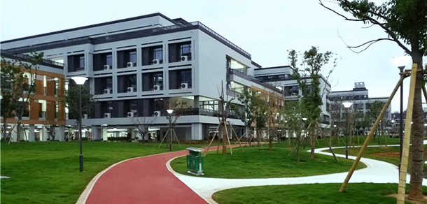 我的大學(xué)-大學(xué)志