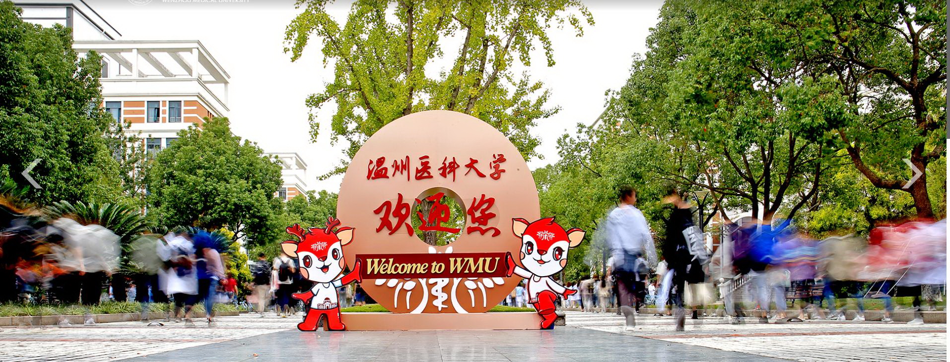 溫州醫(yī)科大學(xué)-校園風景