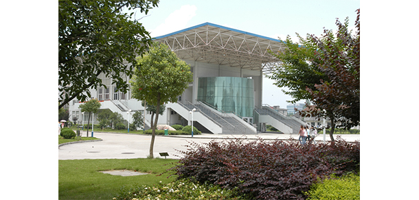 我的大學(xué)-大學(xué)志