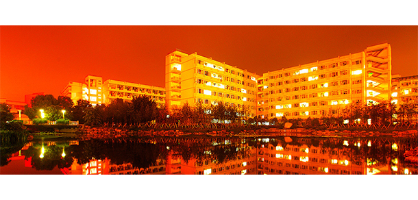我的大學(xué)-大學(xué)志