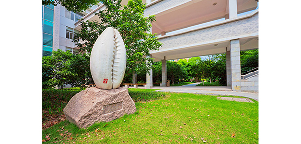 我的大學(xué)-大學(xué)志