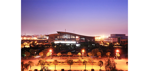 我的大學(xué)-大學(xué)志