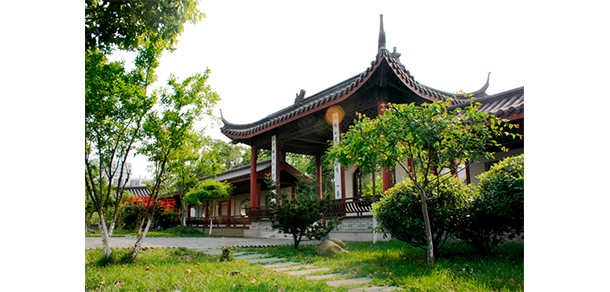 我的大學-大學志