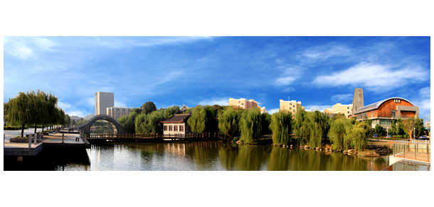 我的大學-大學志