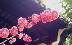 招生公告 · 招生簡章 · 招生計劃