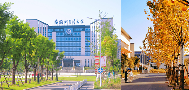 安徽中醫(yī)藥大學 - 最美院校