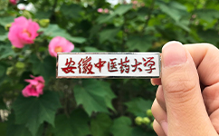 安徽中醫(yī)藥大學 - 我的大學