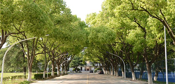 我的大學(xué)-大學(xué)志
