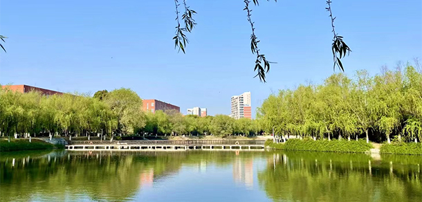 2022年招生分數(shù)