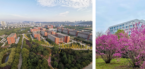 我的大學(xué)-大學(xué)志