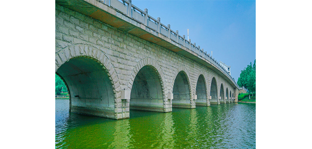 我的大學(xué)-大學(xué)志