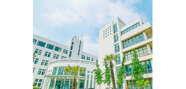 我的大學(xué)-大學(xué)志