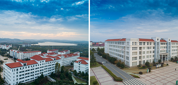 我的大學-大學志