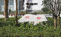 歷史沿革(概)校史