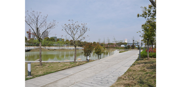 安徽體育運(yùn)動(dòng)職業(yè)技術(shù)學(xué)院