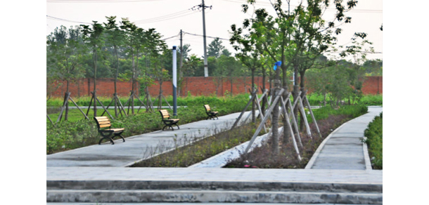 安徽體育運(yùn)動(dòng)職業(yè)技術(shù)學(xué)院