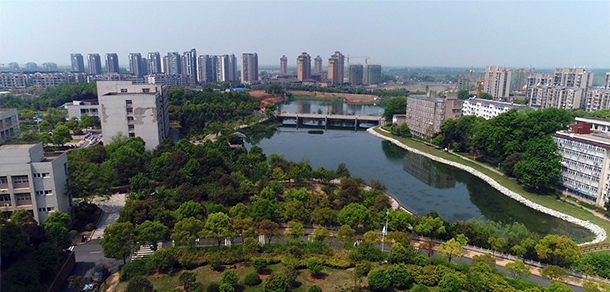 我的大學-大學志