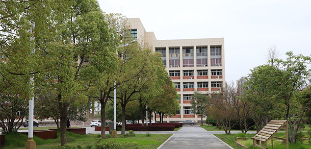 我的大學-大學志