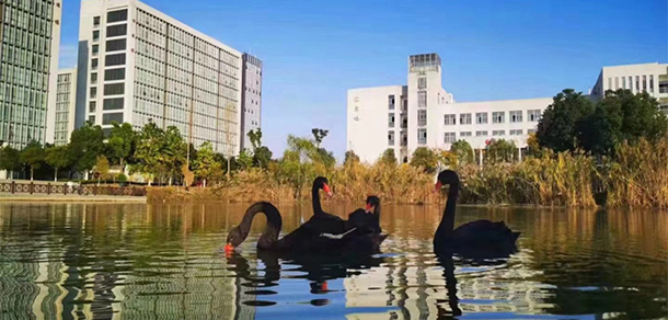 蕪湖職業(yè)技術學院 - 最美大學