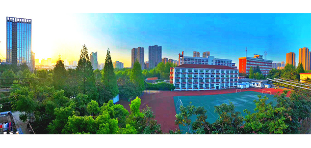 大學校志：校名、校標、校訓、校徽、校旗、校歌