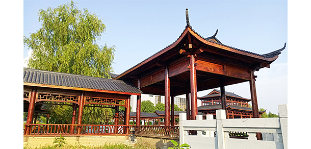 我的大學(xué)-大學(xué)志