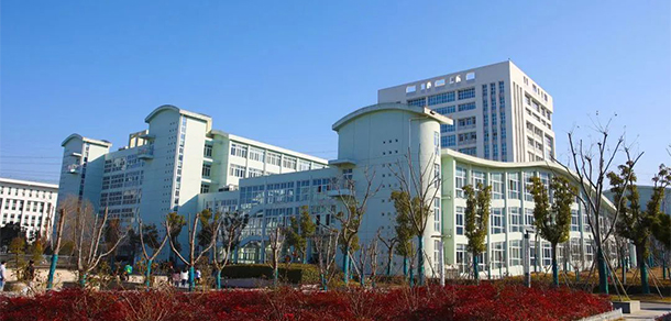 我的大學(xué)-大學(xué)志