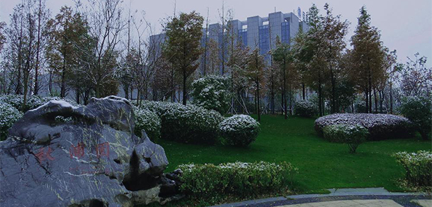我的大學(xué)-大學(xué)志