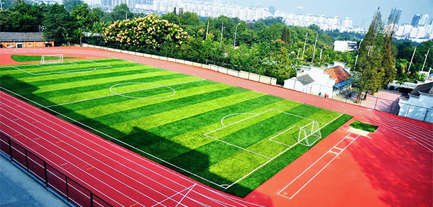 我的大學(xué)-大學(xué)志