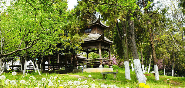 我的大學(xué)-大學(xué)志