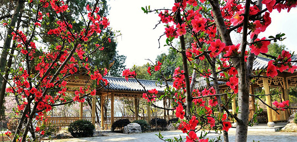 我的大學(xué)-大學(xué)志