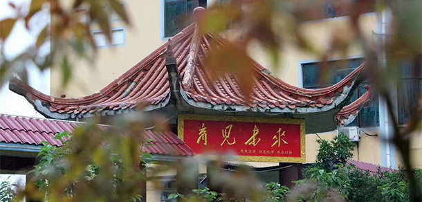 我的大學(xué)-大學(xué)志