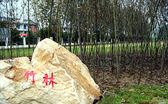 招生公告 · 招生簡章 · 招生計(jì)劃