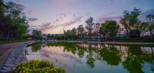 皖西衛(wèi)生職業(yè)學院 - 最美大學