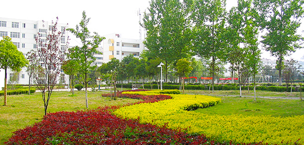 萬(wàn)博科技職業(yè)學(xué)院 - 最美大學(xué)