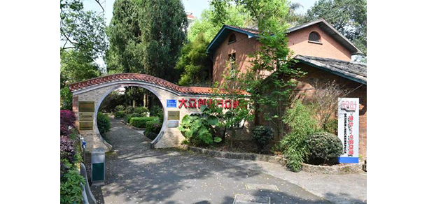 我的大學(xué)-大學(xué)志