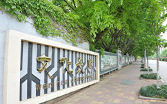 歷史沿革(概)校史