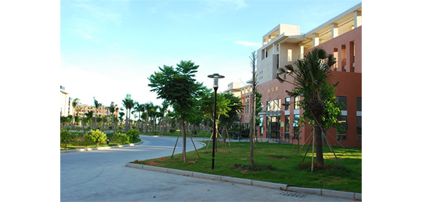 我的大學-大學志
